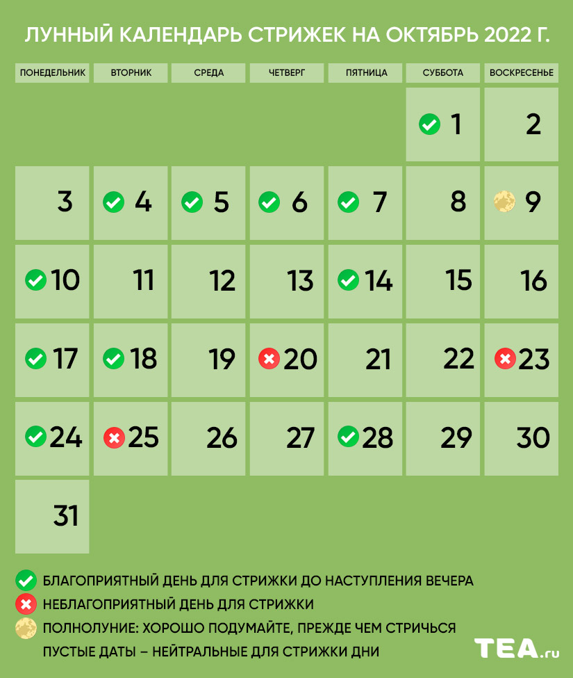 Оракул Календарь Стрижки На Октябрь 2023г