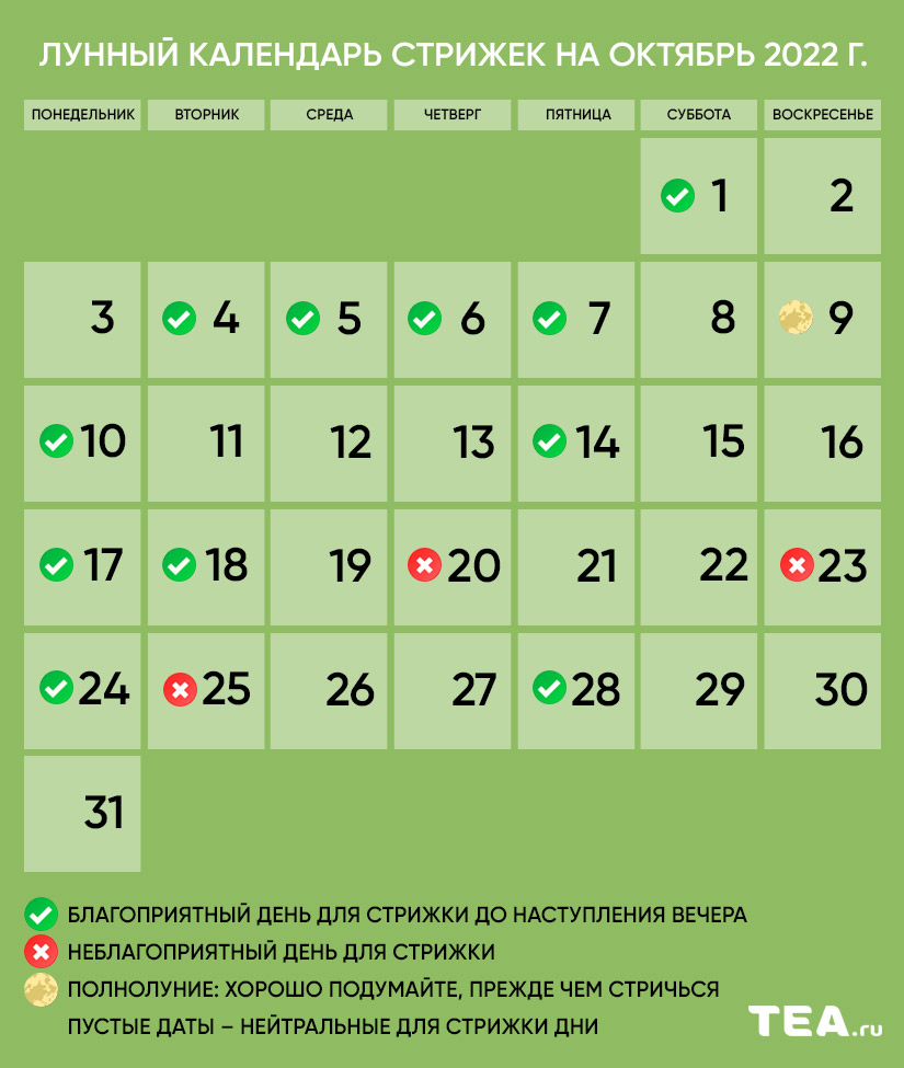 Календарь стрижек на ноябрь 2023г благоприятные