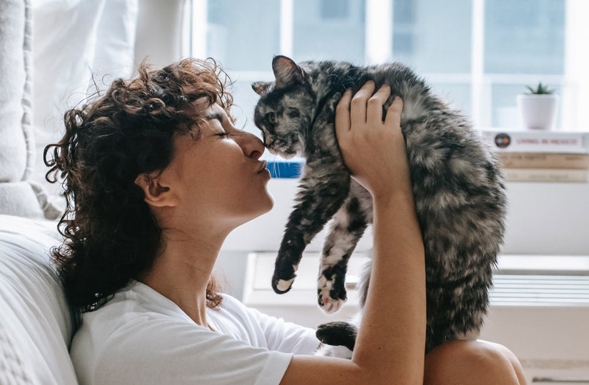 Корм life cat для кошек. Смотреть фото Корм life cat для кошек. Смотреть картинку Корм life cat для кошек. Картинка про Корм life cat для кошек. Фото Корм life cat для кошек