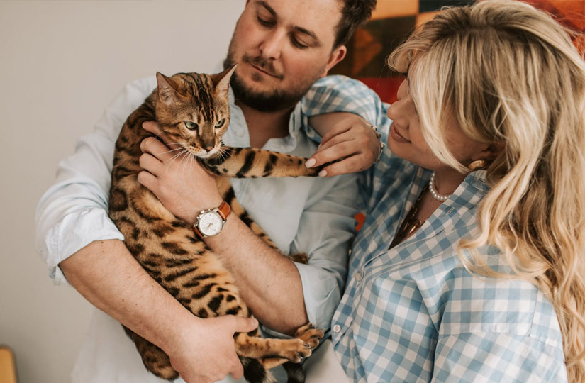 Корм life cat для кошек. Смотреть фото Корм life cat для кошек. Смотреть картинку Корм life cat для кошек. Картинка про Корм life cat для кошек. Фото Корм life cat для кошек