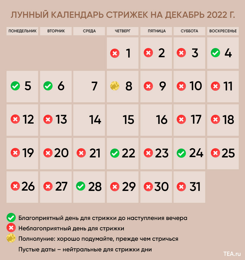 Лунный календарь стрижек на зиму от астролога: почему в декабре удачных  дней меньше, чем в январе и феврале — статья на ТЧК