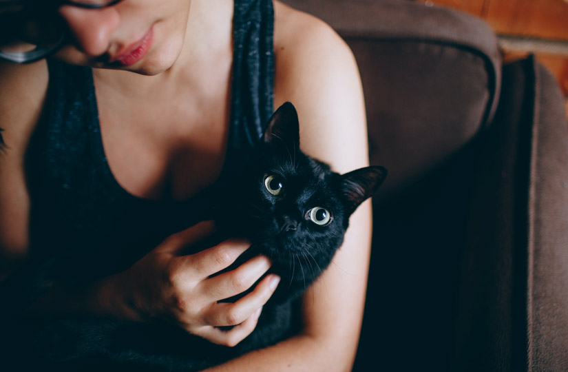 Корм life cat для кошек. Смотреть фото Корм life cat для кошек. Смотреть картинку Корм life cat для кошек. Картинка про Корм life cat для кошек. Фото Корм life cat для кошек