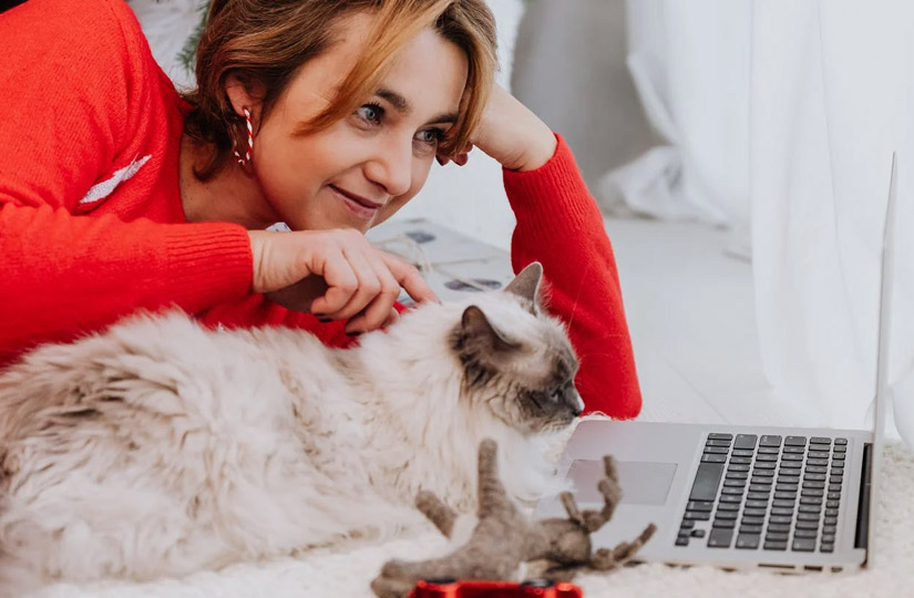Корм life cat для кошек. Смотреть фото Корм life cat для кошек. Смотреть картинку Корм life cat для кошек. Картинка про Корм life cat для кошек. Фото Корм life cat для кошек