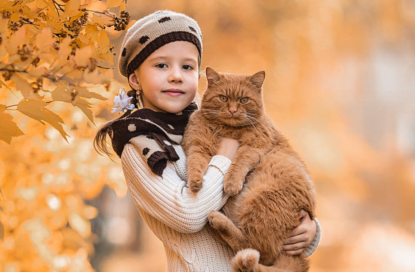 Корм life cat для кошек. Смотреть фото Корм life cat для кошек. Смотреть картинку Корм life cat для кошек. Картинка про Корм life cat для кошек. Фото Корм life cat для кошек