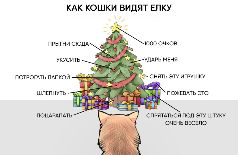 Спасти новогоднюю ёлку от кота: миссия выполнима — статья на ТЧК
